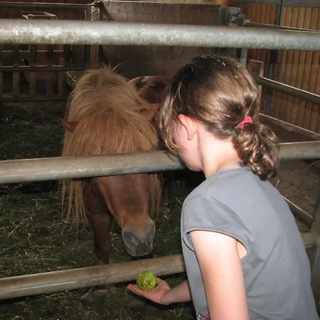 Ferienbauernhof Schneider * Schwarzenberg im Bregenzerwald