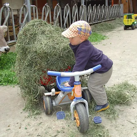 Ferienbauernhof Schneider Daire Schwarzenberg im Bregenzerwald