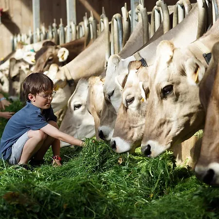 Daire Ferienbauernhof Schneider *